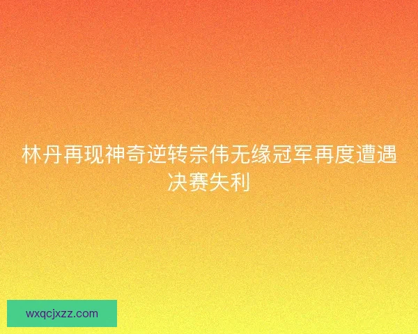 林丹再现神奇逆转宗伟无缘冠军再度遭遇决赛失利