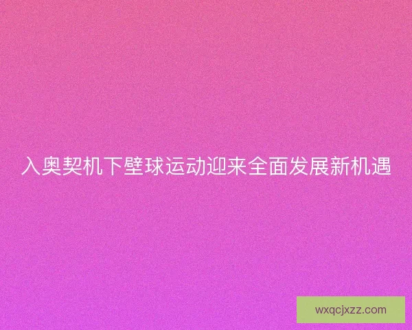 入奥契机下壁球运动迎来全面发展新机遇
