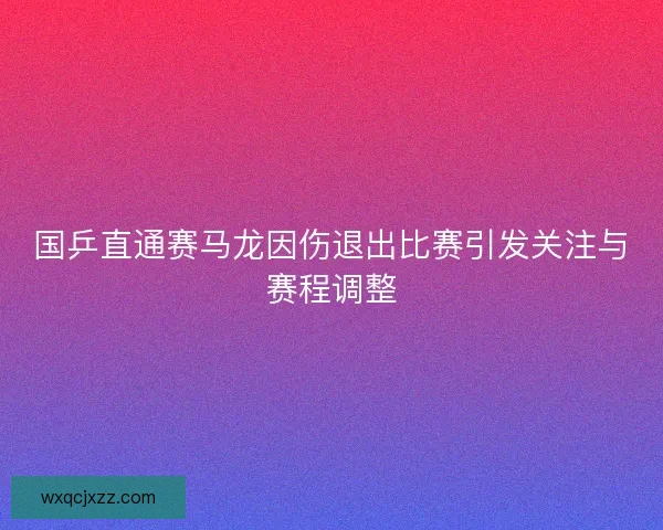 国乒直通赛马龙因伤退出比赛引发关注与赛程调整