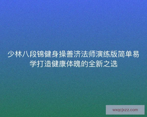 少林八段锦健身操善济法师演练版简单易学打造健康体魄的全新之选